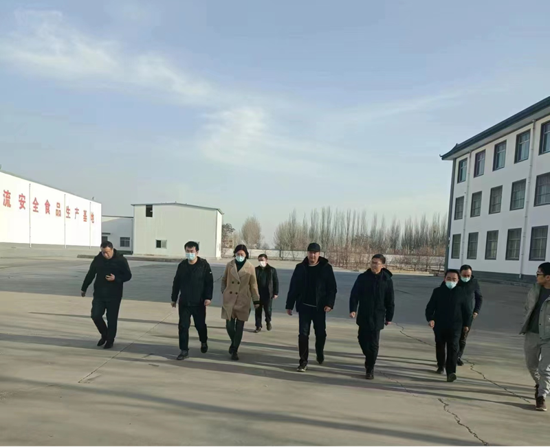 石嘴山市副市長(zhǎng)、惠農(nóng)區(qū)委書(shū)記王宇翔蒞臨寧夏興康恒潤(rùn)農(nóng)業(yè)科技發(fā)展有限公司調(diào)研