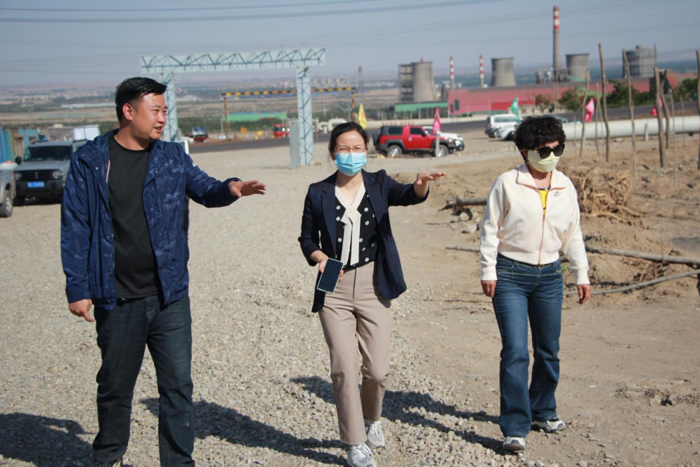 石嘴山市農(nóng)業(yè)農(nóng)村局副局長徐永霞、農(nóng)經(jīng)中心主任王曉斌一行蒞臨基地檢查指導(dǎo)