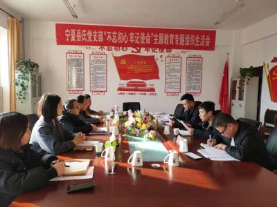 寧夏岳氏黨支部召開“不忘初心，牢記使命”主題教育專題組織生活會